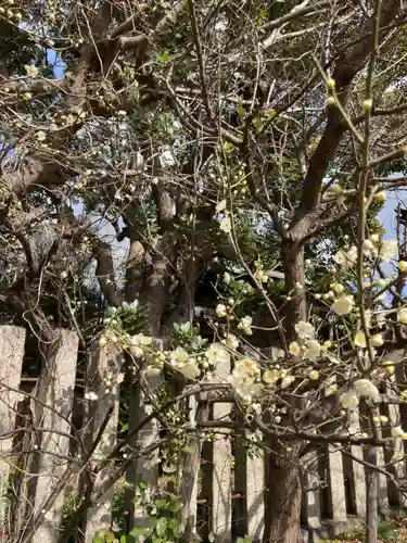 休天神社の自然