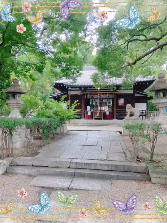 安居神社の本殿・本堂