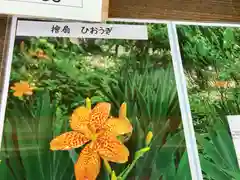 沙沙貴神社の自然