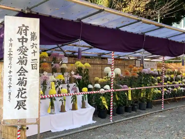 大國魂神社の自然