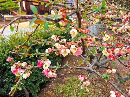 向嶽寺(山梨県)