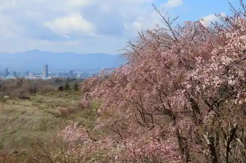 高屋敷稲荷神社の景色