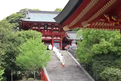鶴岡八幡宮のお祭り