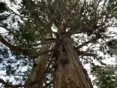 藤沼神社(福島県)