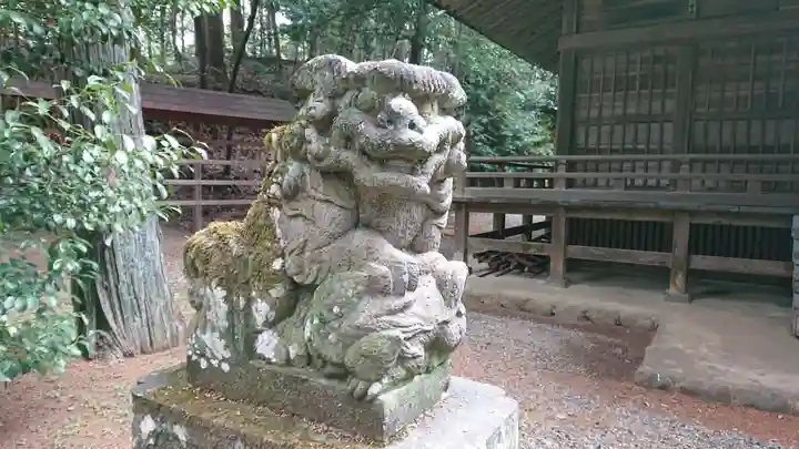 虎柏神社の狛犬