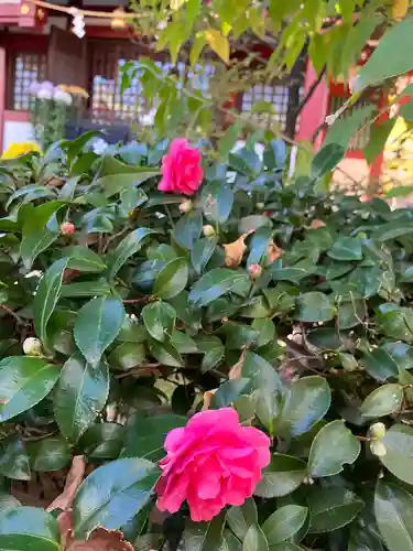 亀戸天神社(東京都)
