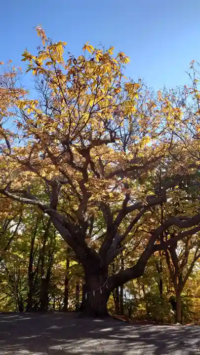 相馬神社(北海道)