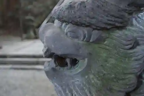 高千穂神社の狛犬