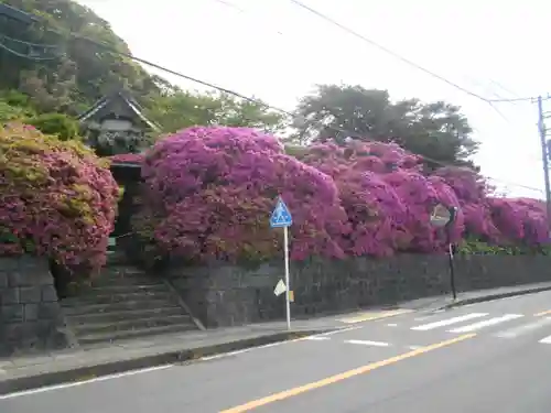 安養院　(田代寺）の周辺