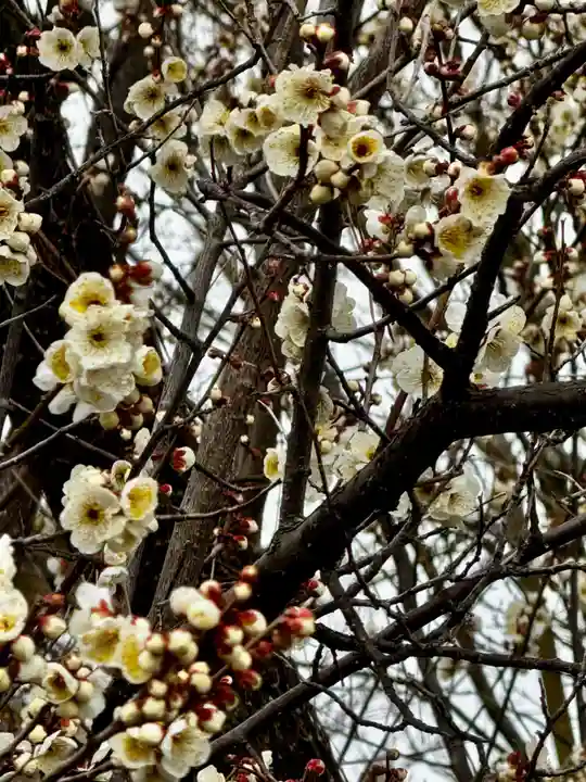 光源院(京都府)