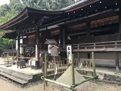 宇治上神社の本殿・本堂