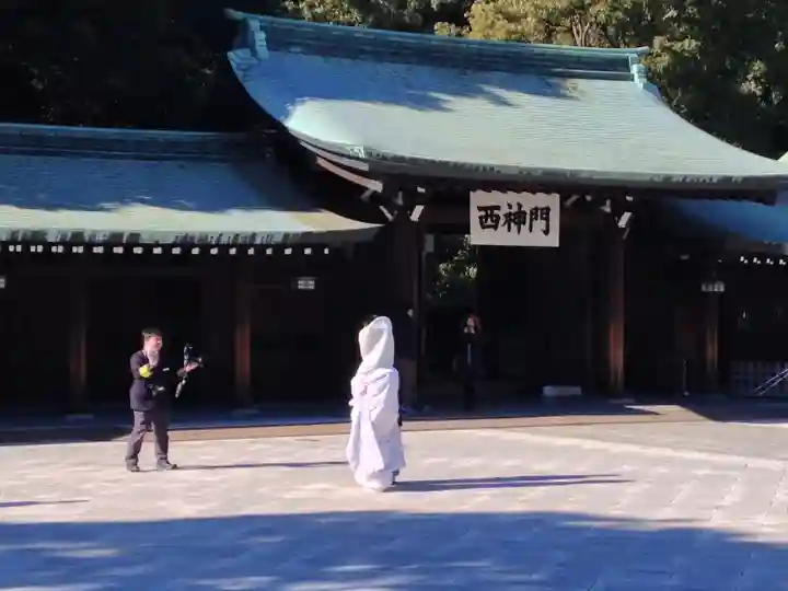 明治神宮(東京都)