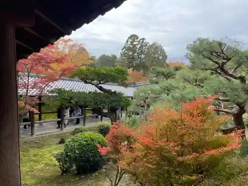 東福禅寺（東福寺）(京都府)