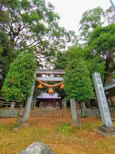 白鳥神社（白鳥町）の鳥居