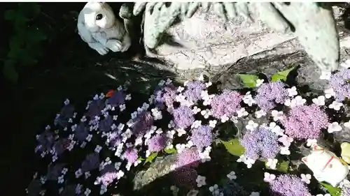 三輪神社の手水舎