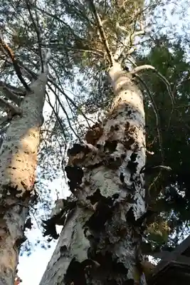 諏訪大社下社秋宮(長野県)