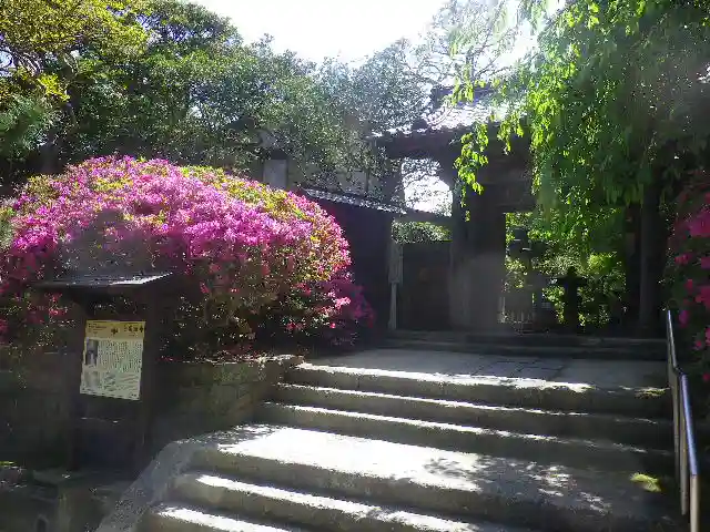 安國論寺(安国論寺)の山門・神門