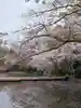 鶴岡八幡宮の自然
