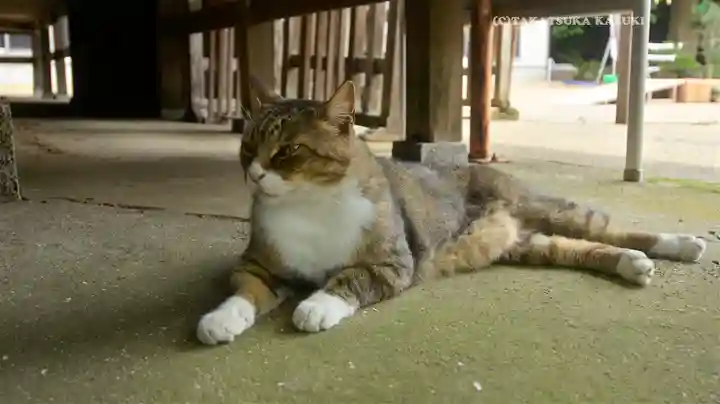 鎌数伊勢大神宮(千葉県)