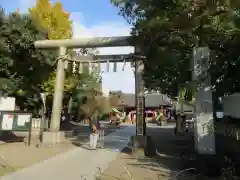 浅草神社の鳥居