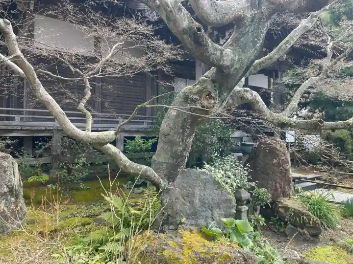妙法寺の{uncategorized: "未分類", other: "その他", undefined: "問題あり", building: "その他建物", grave: "お墓", sacred_gate: "鳥居", guardian: "狛犬", statue: "像", buddha: "仏像", history: "歴史", nature: "自然", garden: "庭園", animal: "動物", pagoda: "塔", temizu: "手水舎", mountain_gate: "山門・神門", sanctuary: "本殿・本堂", subordinate: "末社・摂社", art: "芸術", scenery: "景色", jizo: "地蔵", ema: "絵馬", goshuin: "御朱印", omikuji: "おみくじ", items: "授与品その他", amulet: "お守り", goshuincho: "御朱印帳", eats: "食事", festival: "お祭り", votive_dance: "神楽", shichigosan: "七五三参", wedding: "結婚式", experience: "体験その他", initially: "初詣", around: "周辺", anti_infection: "感染症対策"}
