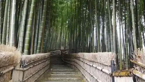 化野念仏寺の庭園