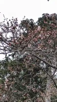 石山寺(滋賀県)