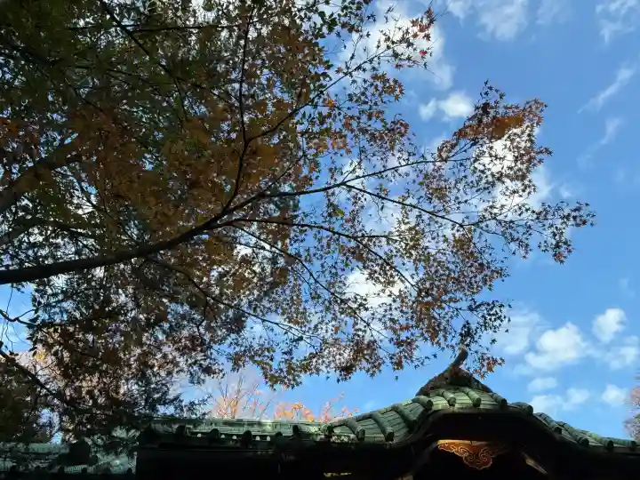 赤坂氷川神社(東京都)