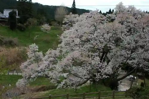 仏隆寺の自然