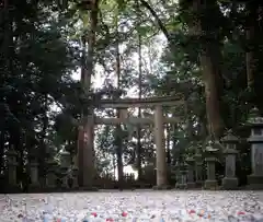 御上神社の鳥居