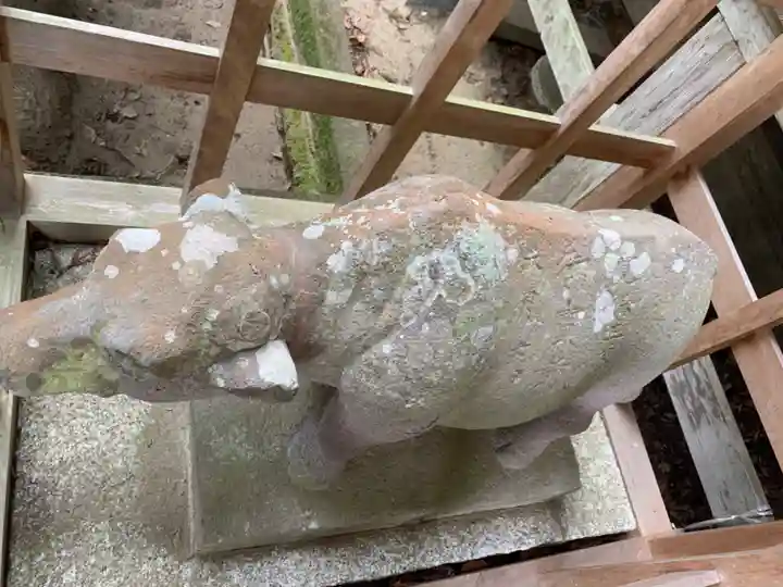 八坂神社の狛犬