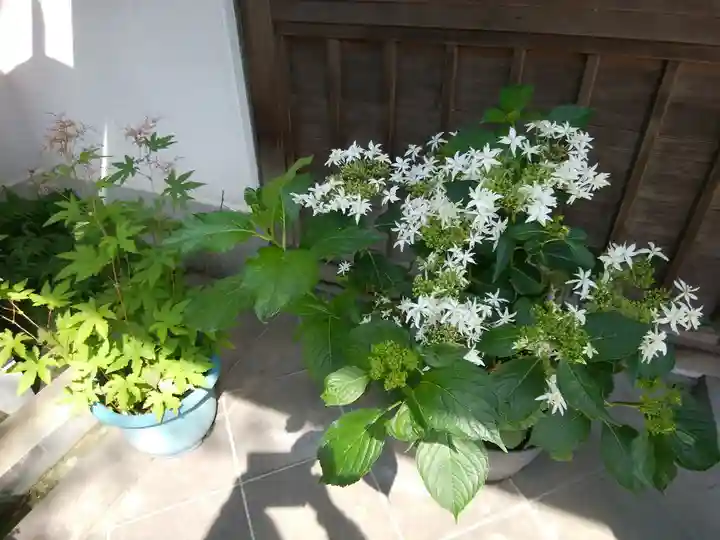 円覚寺(神奈川県)