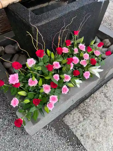 上尾御嶽神社(埼玉県)