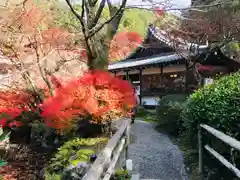 醍醐寺(京都府)