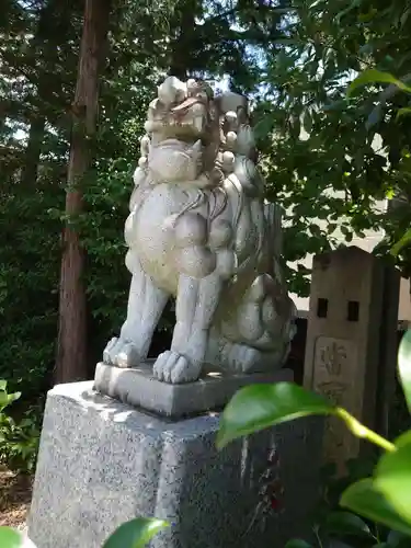 鎮守氷川神社の狛犬