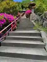観音寺の{uncategorized: "未分類", other: "その他", undefined: "問題あり", building: "その他建物", grave: "お墓", sacred_gate: "鳥居", guardian: "狛犬", statue: "像", buddha: "仏像", history: "歴史", nature: "自然", garden: "庭園", animal: "動物", pagoda: "塔", temizu: "手水舎", mountain_gate: "山門・神門", sanctuary: "本殿・本堂", subordinate: "末社・摂社", art: "芸術", scenery: "景色", jizo: "地蔵", ema: "絵馬", goshuin: "御朱印", omikuji: "おみくじ", items: "授与品その他", amulet: "お守り", goshuincho: "御朱印帳", eats: "食事", festival: "お祭り", votive_dance: "神楽", shichigosan: "七五三参", wedding: "結婚式", experience: "体験その他", initially: "初詣", around: "周辺", anti_infection: "感染症対策"}