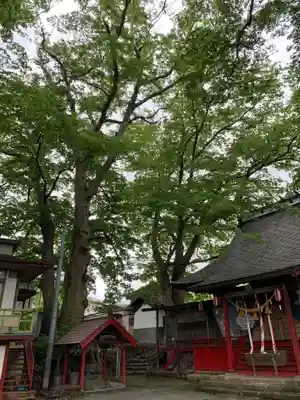 八坂神社のその他建物