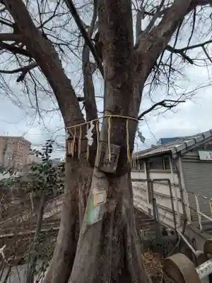 太田姫稲荷神社跡(一口神社)(東京都)