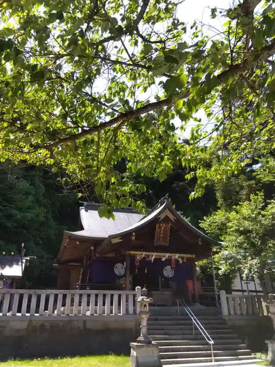 毛谷黒龍神社(福井県)