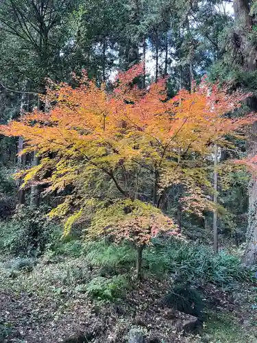 大宮温泉神社(栃木県)