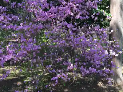 伊奈冨神社(三重県)