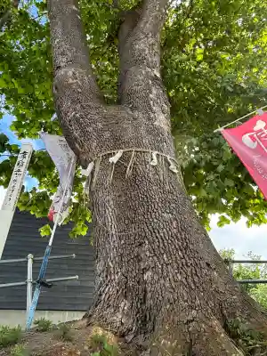 龍宮神社(北海道)