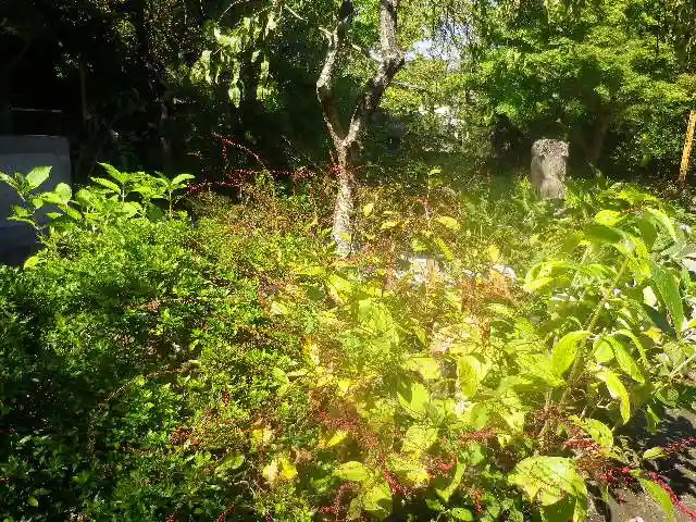 安國論寺(安国論寺)の自然