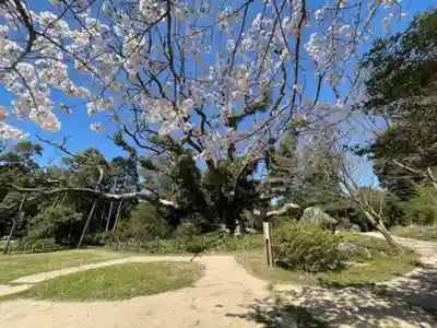 クスの森若宮神社の自然