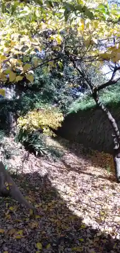 春日神社の自然