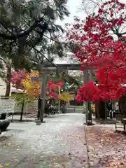 彌彦神社　(伊夜日子神社)(北海道)