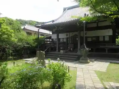 安國論寺（安国論寺）の本殿・本堂