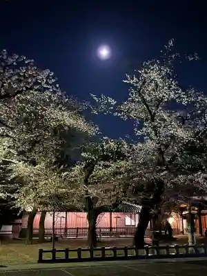 蓮馨寺の{uncategorized: "未分類", other: "その他", undefined: "問題あり", building: "その他建物", grave: "お墓", sacred_gate: "鳥居", guardian: "狛犬", statue: "像", buddha: "仏像", history: "歴史", nature: "自然", garden: "庭園", animal: "動物", pagoda: "塔", temizu: "手水舎", mountain_gate: "山門・神門", sanctuary: "本殿・本堂", subordinate: "末社・摂社", art: "芸術", scenery: "景色", jizo: "地蔵", ema: "絵馬", goshuin: "御朱印", omikuji: "おみくじ", items: "授与品その他", amulet: "お守り", goshuincho: "御朱印帳", eats: "食事", festival: "お祭り", votive_dance: "神楽", shichigosan: "七五三参", wedding: "結婚式", experience: "体験その他", initially: "初詣", around: "周辺", anti_infection: "感染症対策"}