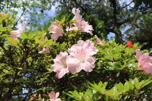豊景神社の自然
