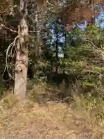 熊野神社(千葉県)